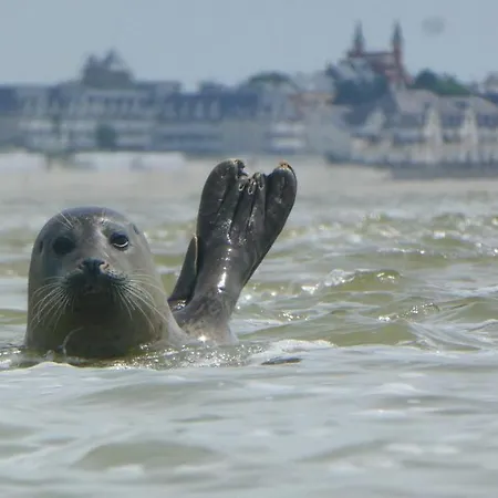Holiday home De La Le Crotoy