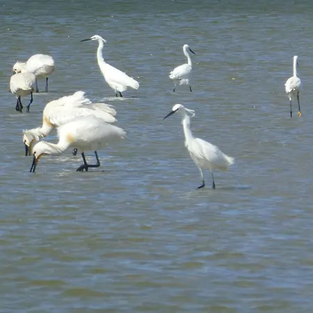 De La ル・クロトワ